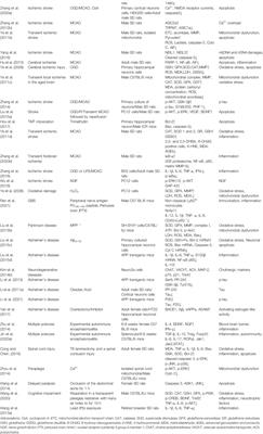 Biotransformation, Pharmacokinetics, and Pharmacological Activities of Ginsenoside Rd Against Multiple Diseases